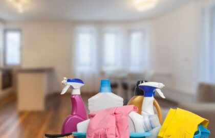 How to prevent mould - Professionals Collective
